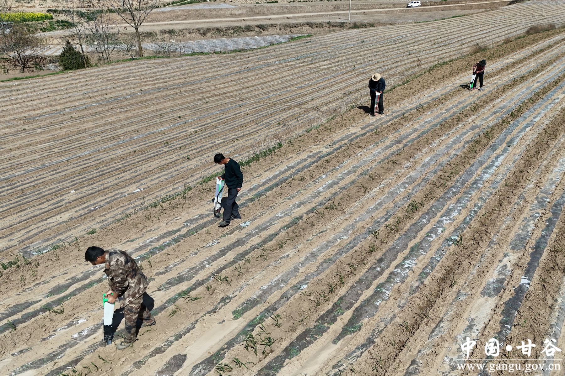 微信图片_20260420104451_34_38 微信图片_20260420104451_34_38