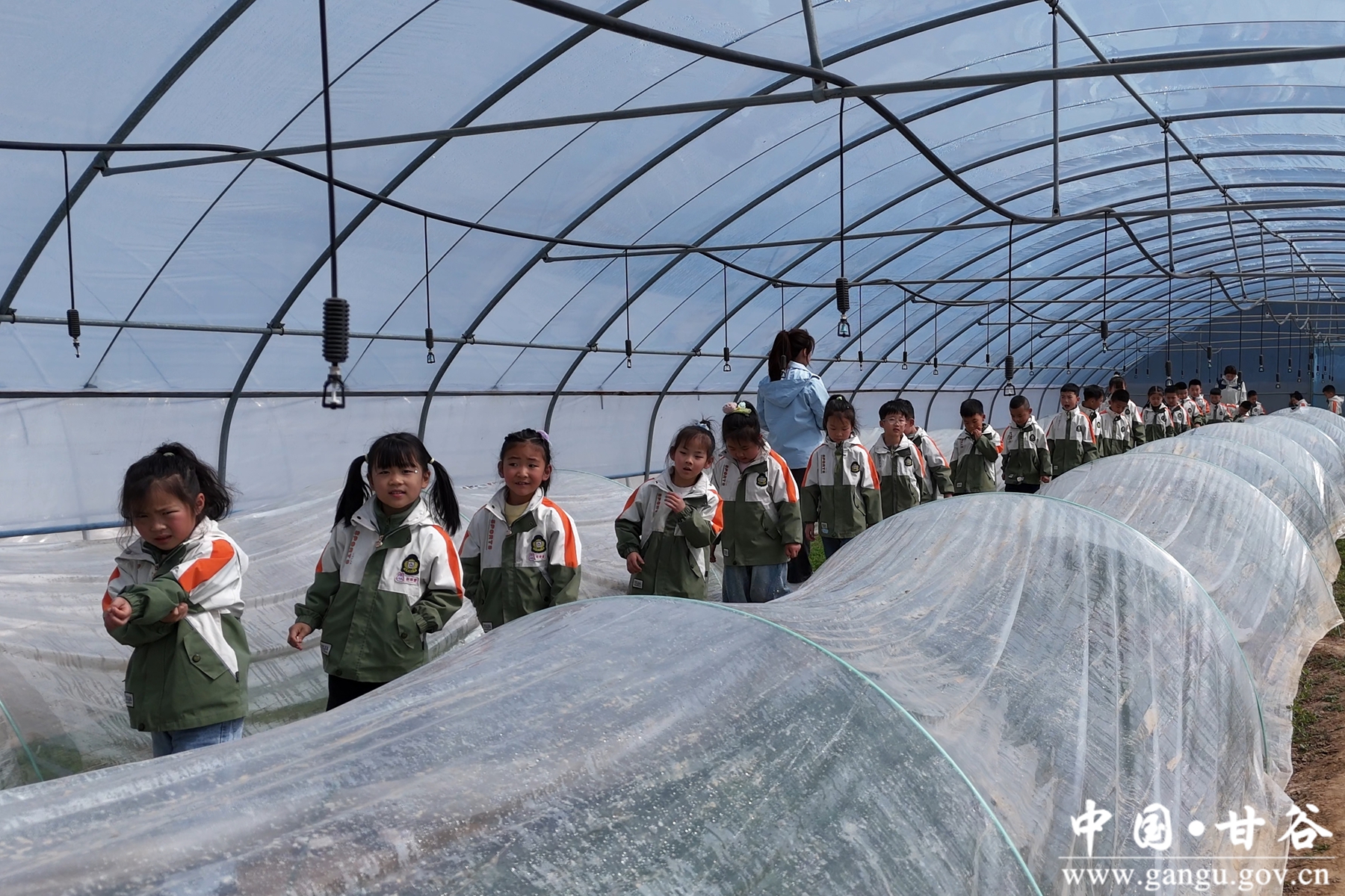 在大棚参观小畦育苗2 在大棚参观小畦育苗2