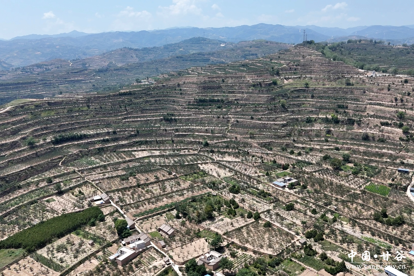 1752635549348074465.jpg 1752635549348074465.jpg