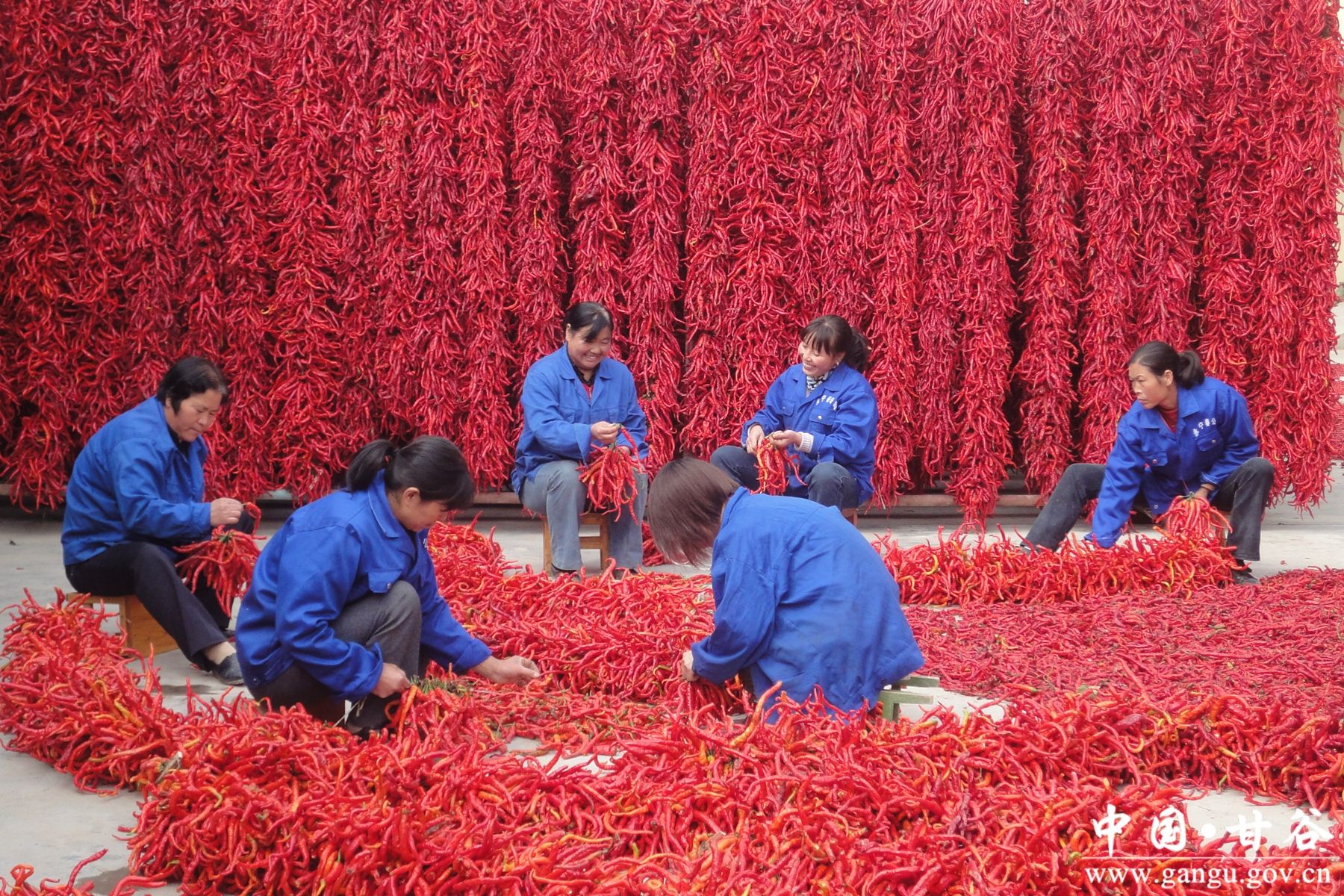 火红的辣椒串起来_副本 火红的辣椒串起来_副本