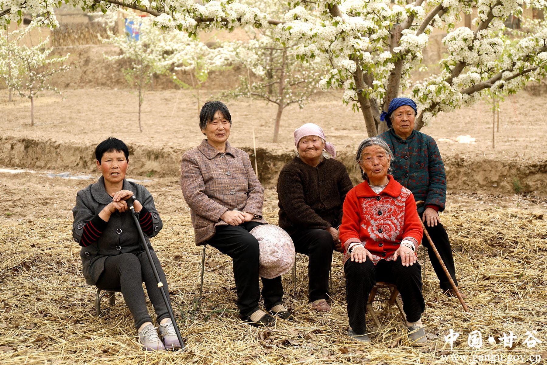 _MG_2323_副本_副本