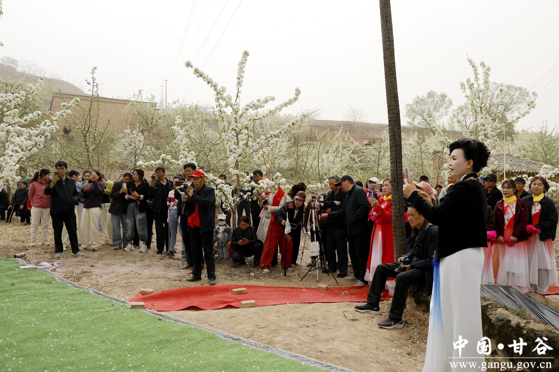 _MG_2165_副本_副本