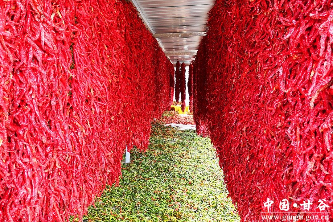 1710128616889097583.jpg 1710128616889097583.jpg