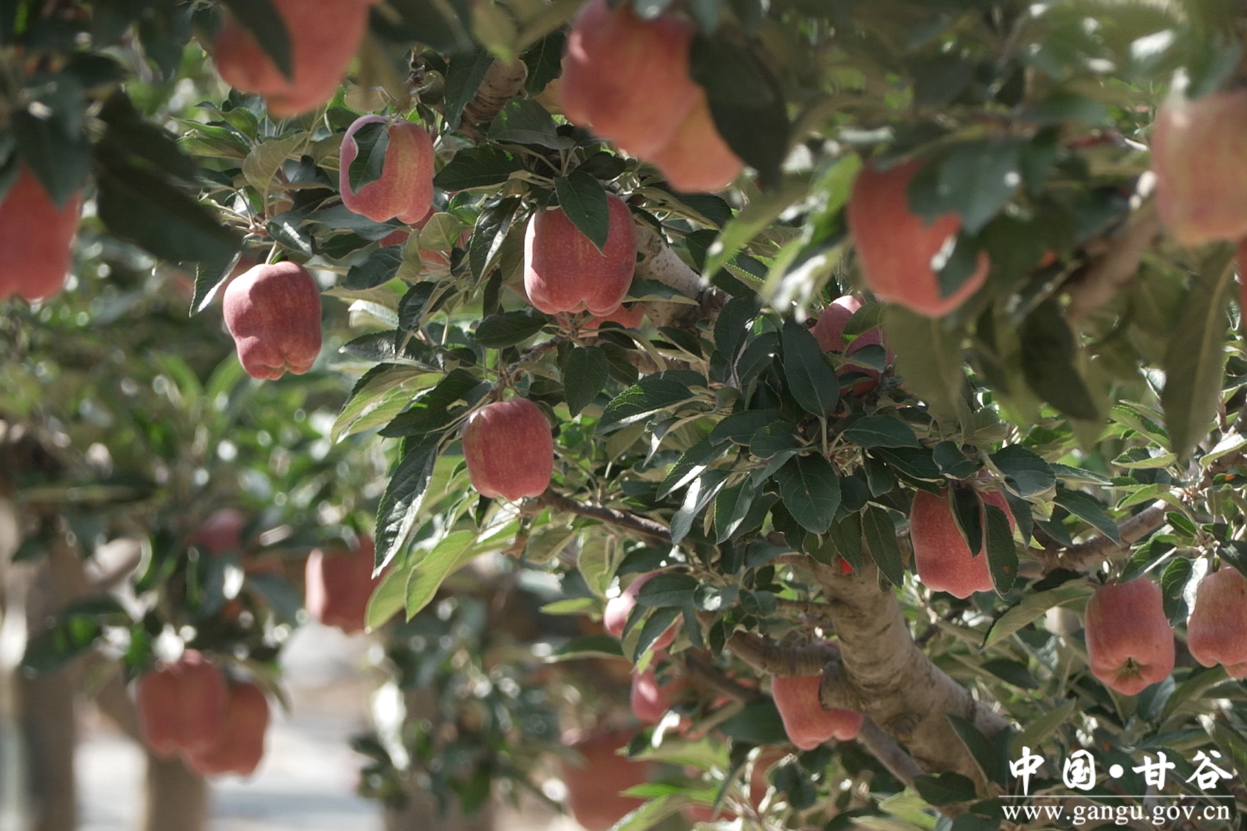 微信图片_20250820153228 微信图片_20250820153228