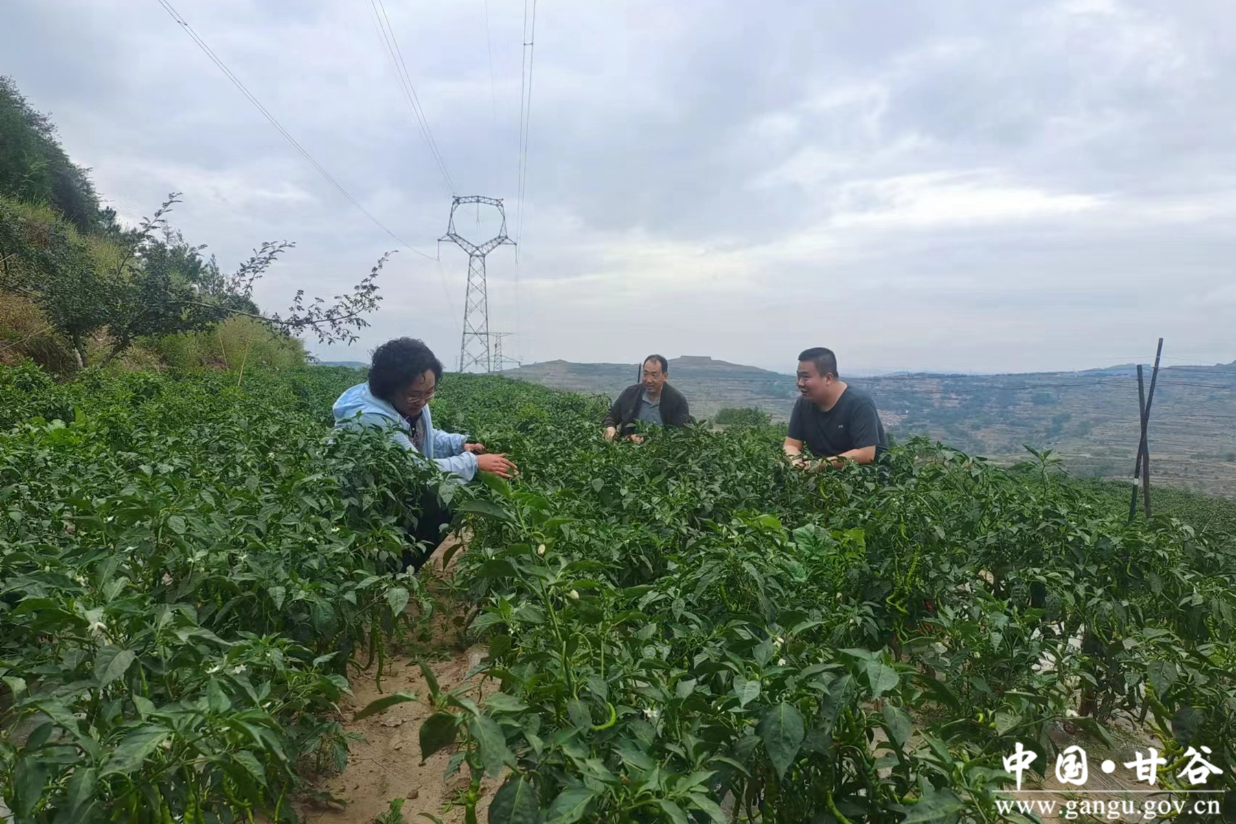 ae2d0837395a40559426ebf171c59159 ae2d0837395a40559426ebf171c59159