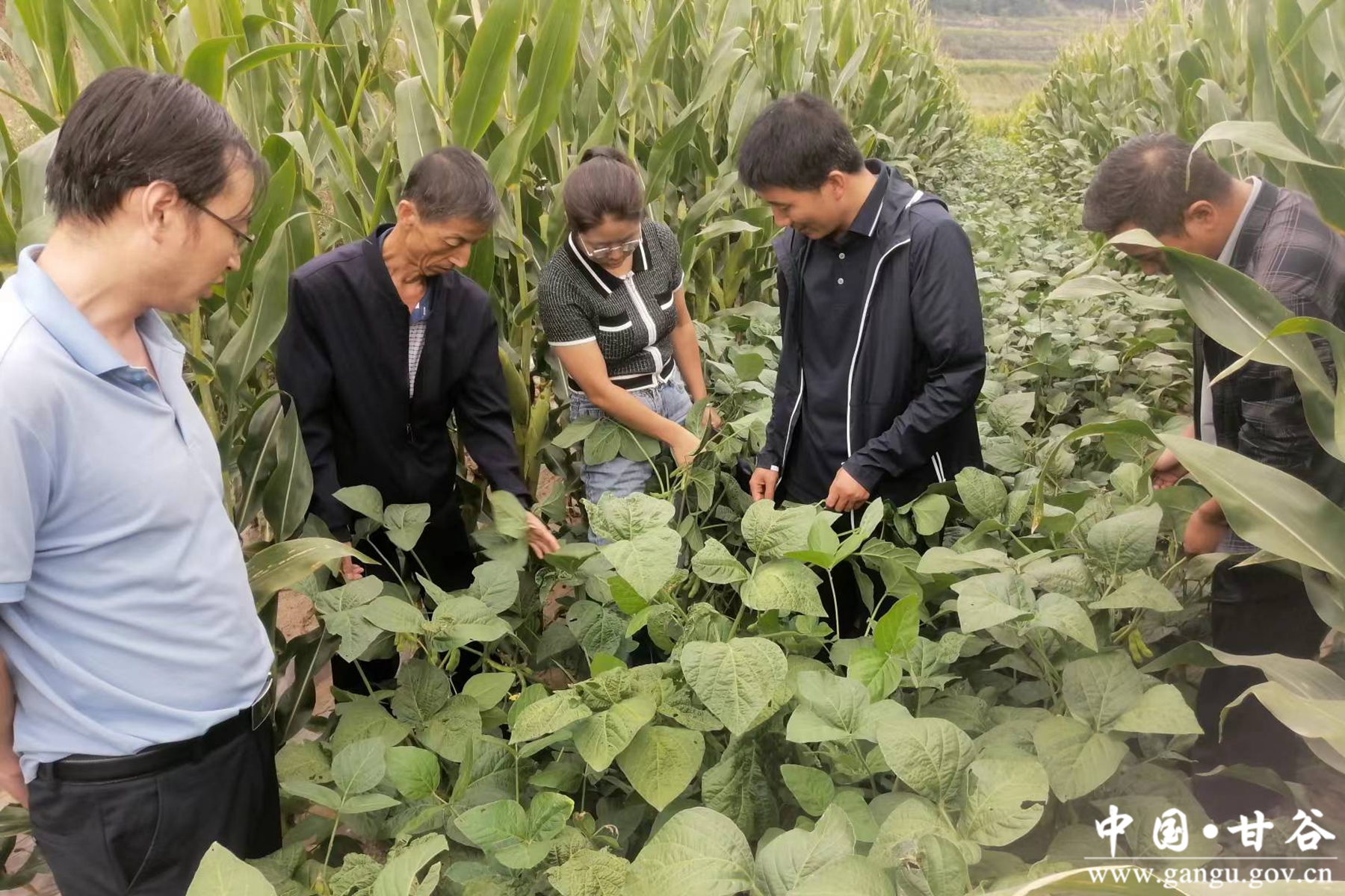 01a47802b36a4e7c89c9e3acf22888ad 01a47802b36a4e7c89c9e3acf22888ad