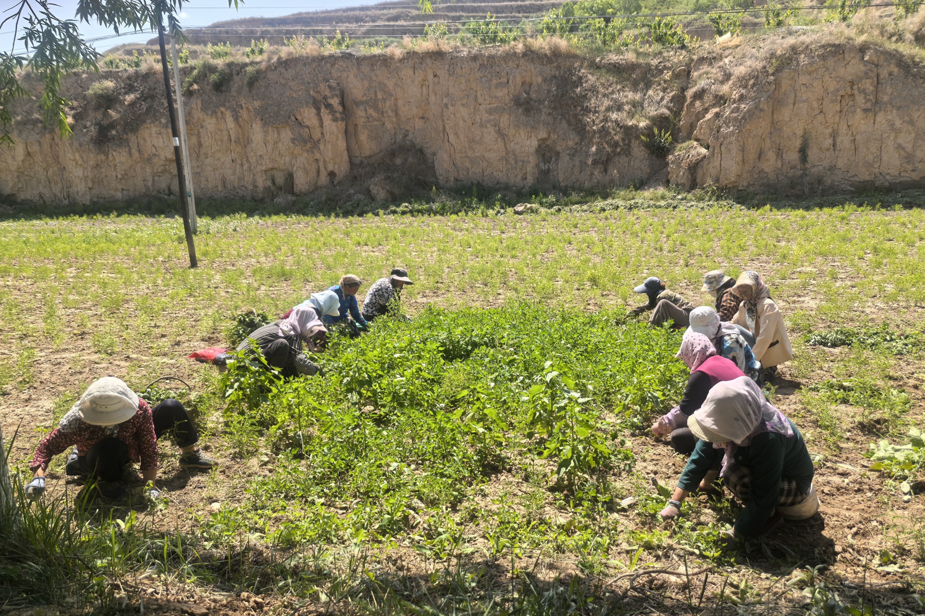 1.32_副本 1.32_副本