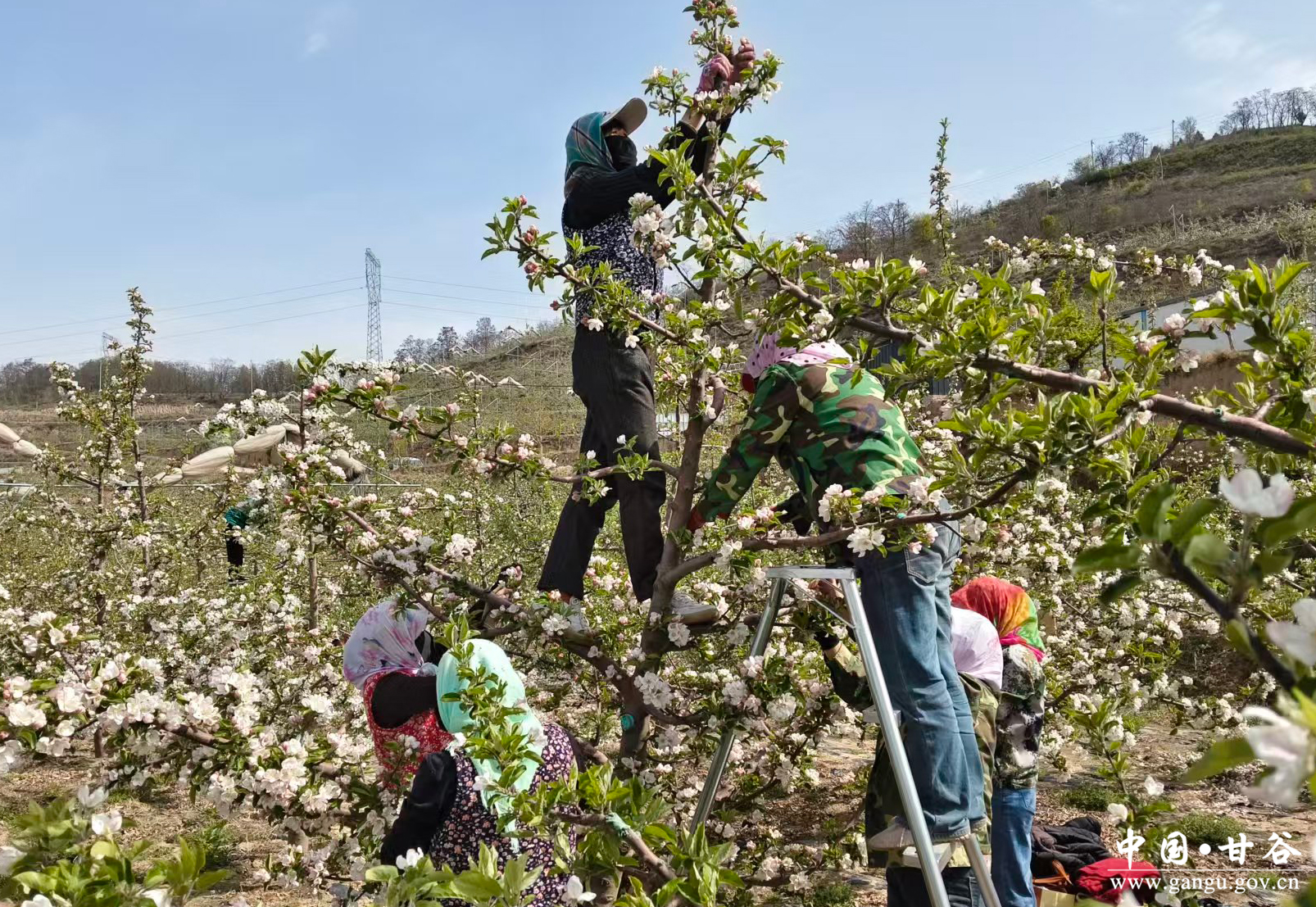 1776910445864042661.jpg 1776910445864042661.jpg