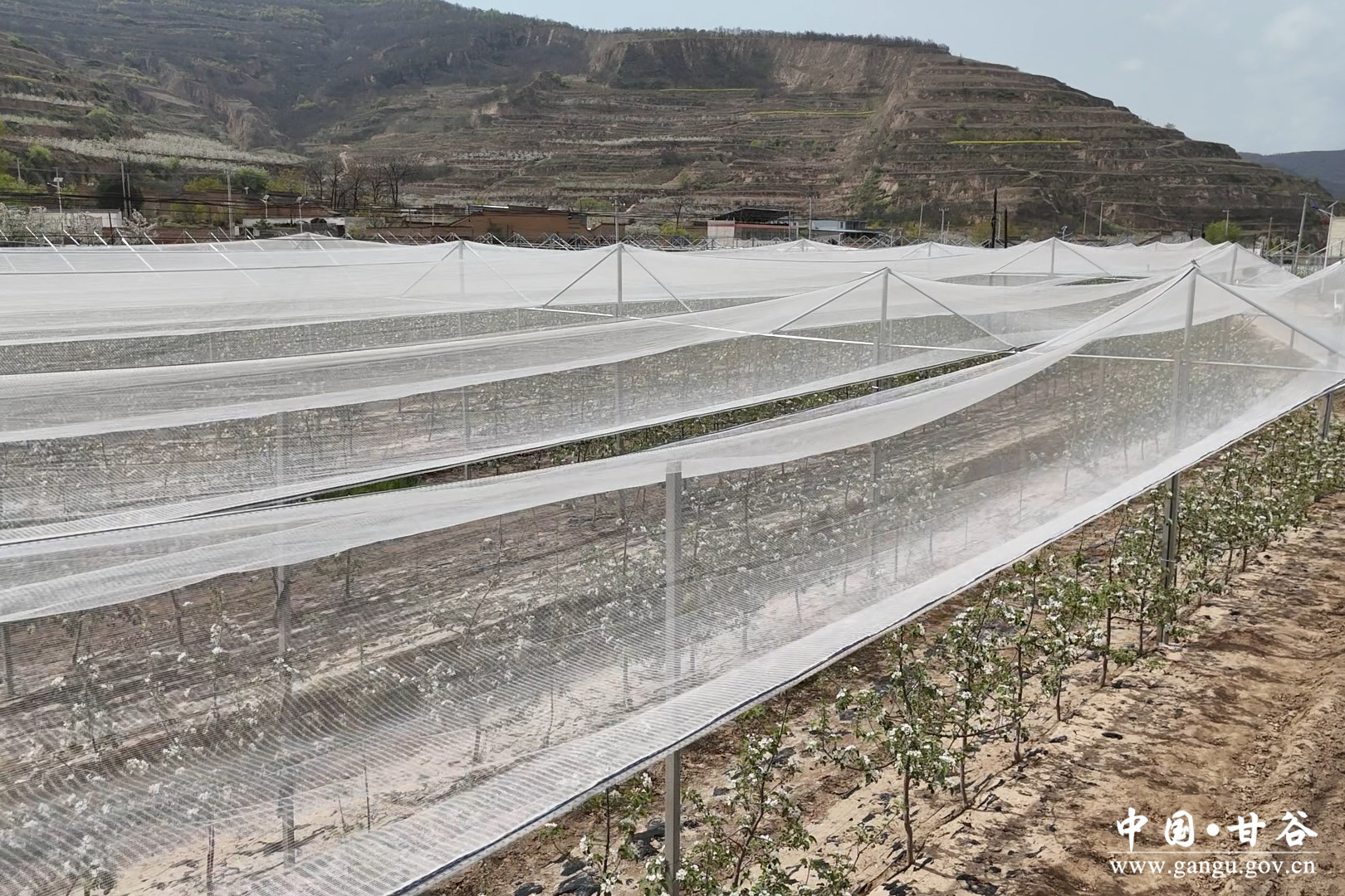 1776911091629029367.jpg 1776911091629029367.jpg