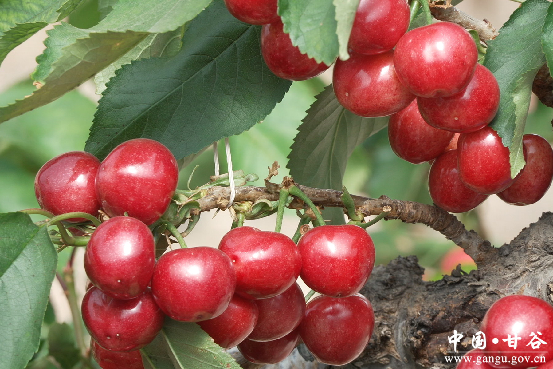 微信图片_20260127162639_5_148 微信图片_20260127162639_5_148