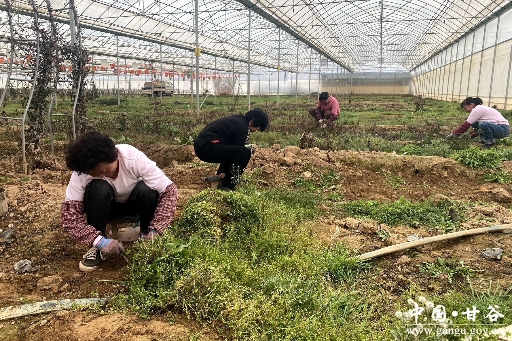 557f2416b9e382f079b79f0c16debad 557f2416b9e382f079b79f0c16debad