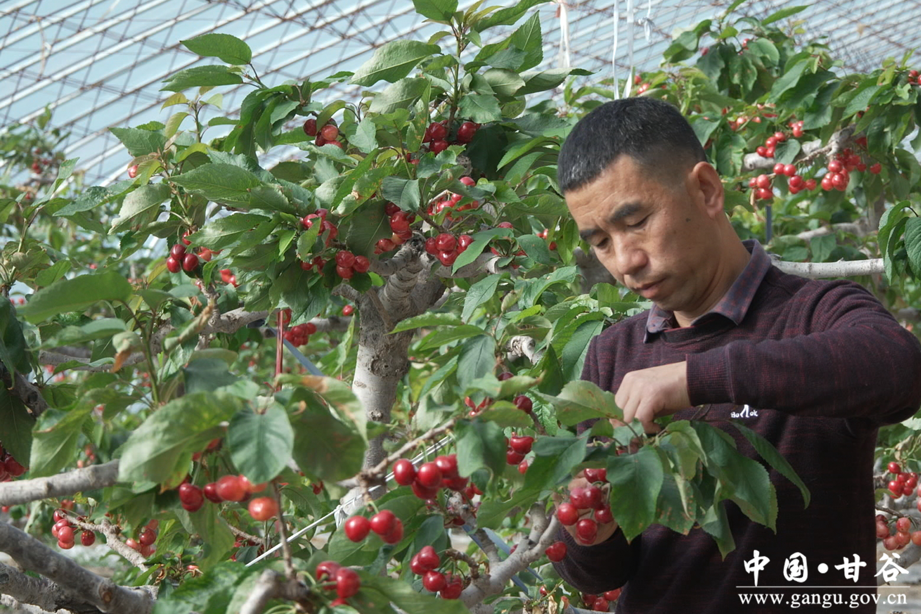 微信图片_20260127162624_3_148 微信图片_20260127162624_3_148