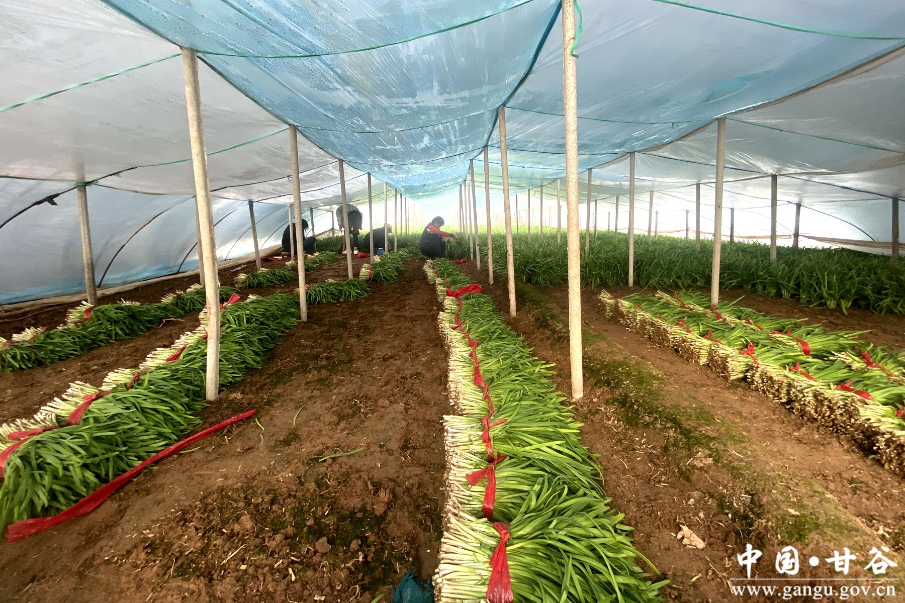 dc11cea68432a65a008c8d468596305b dc11cea68432a65a008c8d468596305b