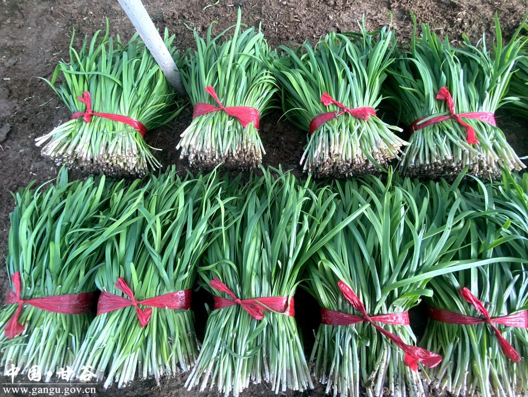 654371dc1815fa6a82e9904e965244d0 654371dc1815fa6a82e9904e965244d0