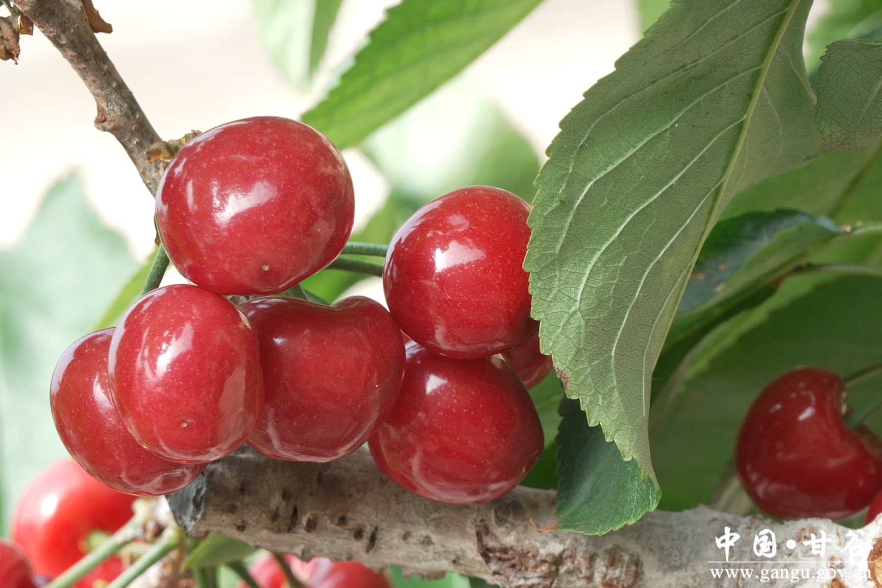 微信图片_20260127162616_2_148 微信图片_20260127162616_2_148