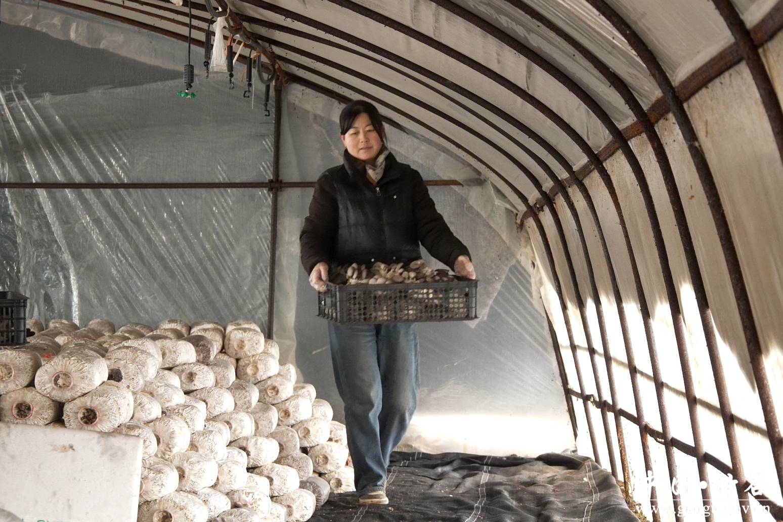 1769503556696067256.jpg 1769503556696067256.jpg