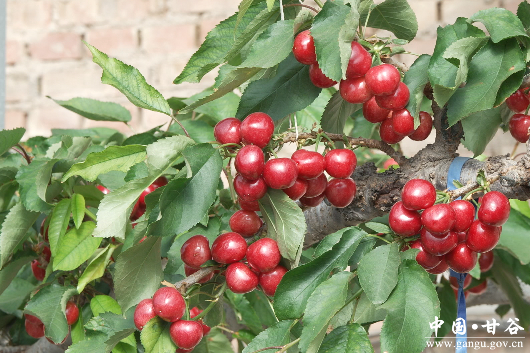 微信图片_20260127162646_6_148 微信图片_20260127162646_6_148