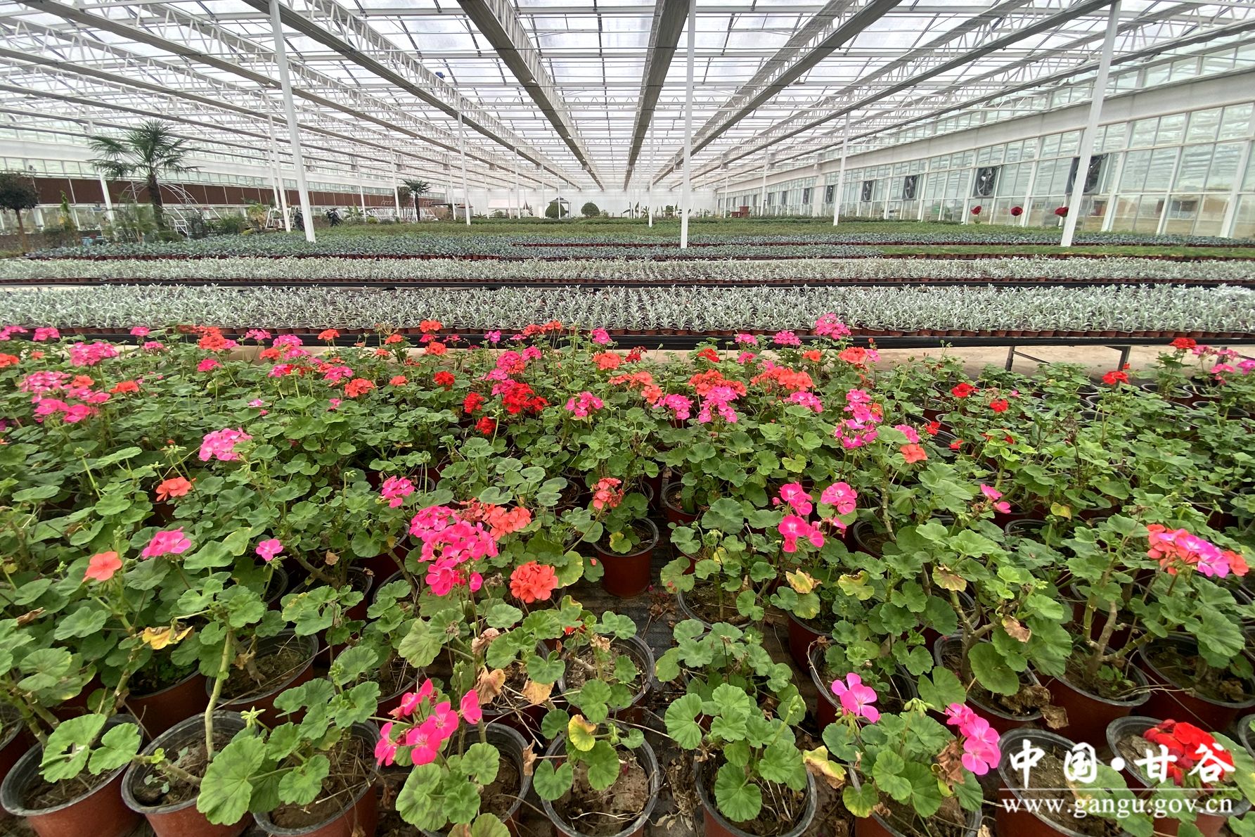 2f6b9ff88d493937439dfe809717dec 2f6b9ff88d493937439dfe809717dec