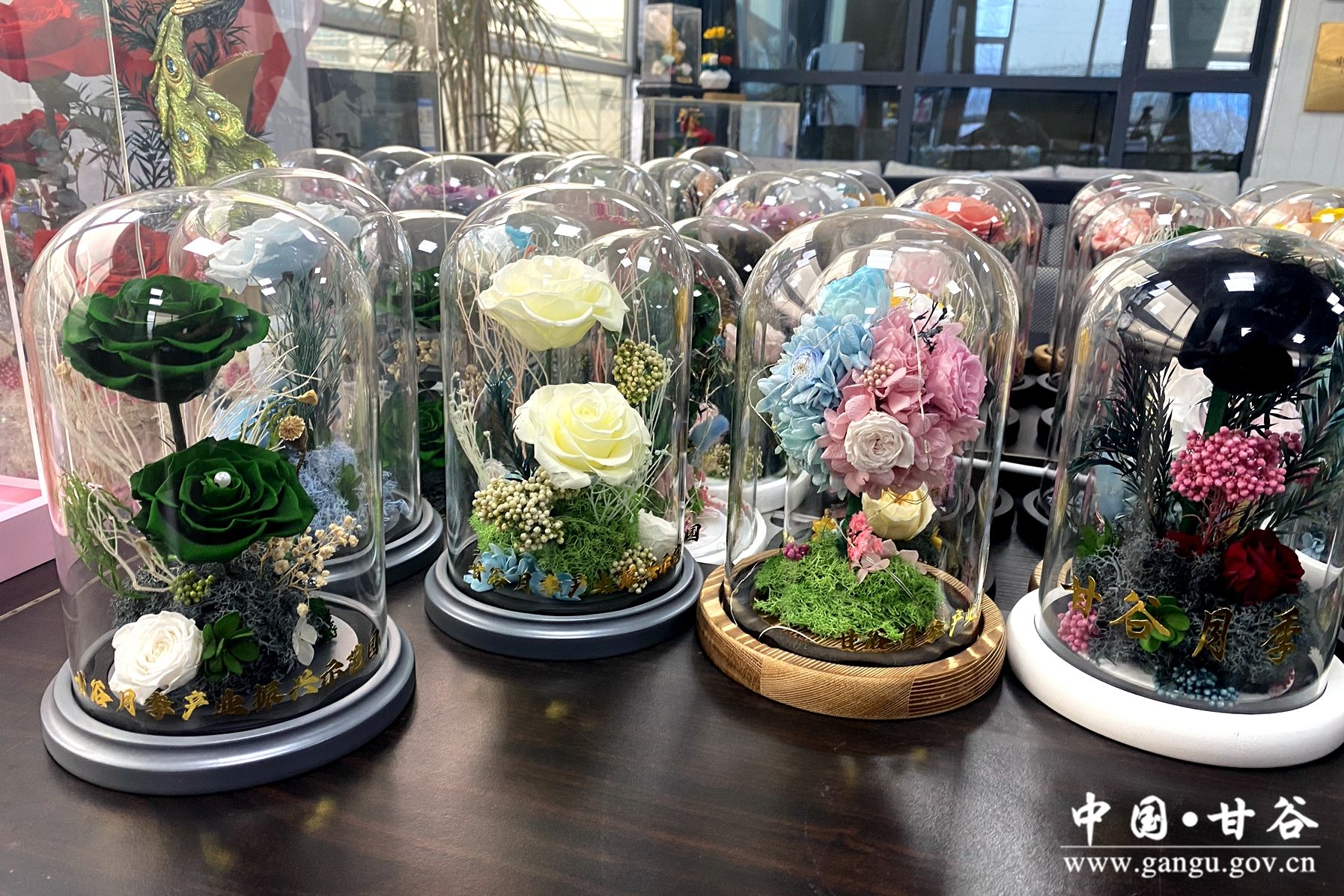 233273be2cccfdf6e57a8c0a885e996 233273be2cccfdf6e57a8c0a885e996