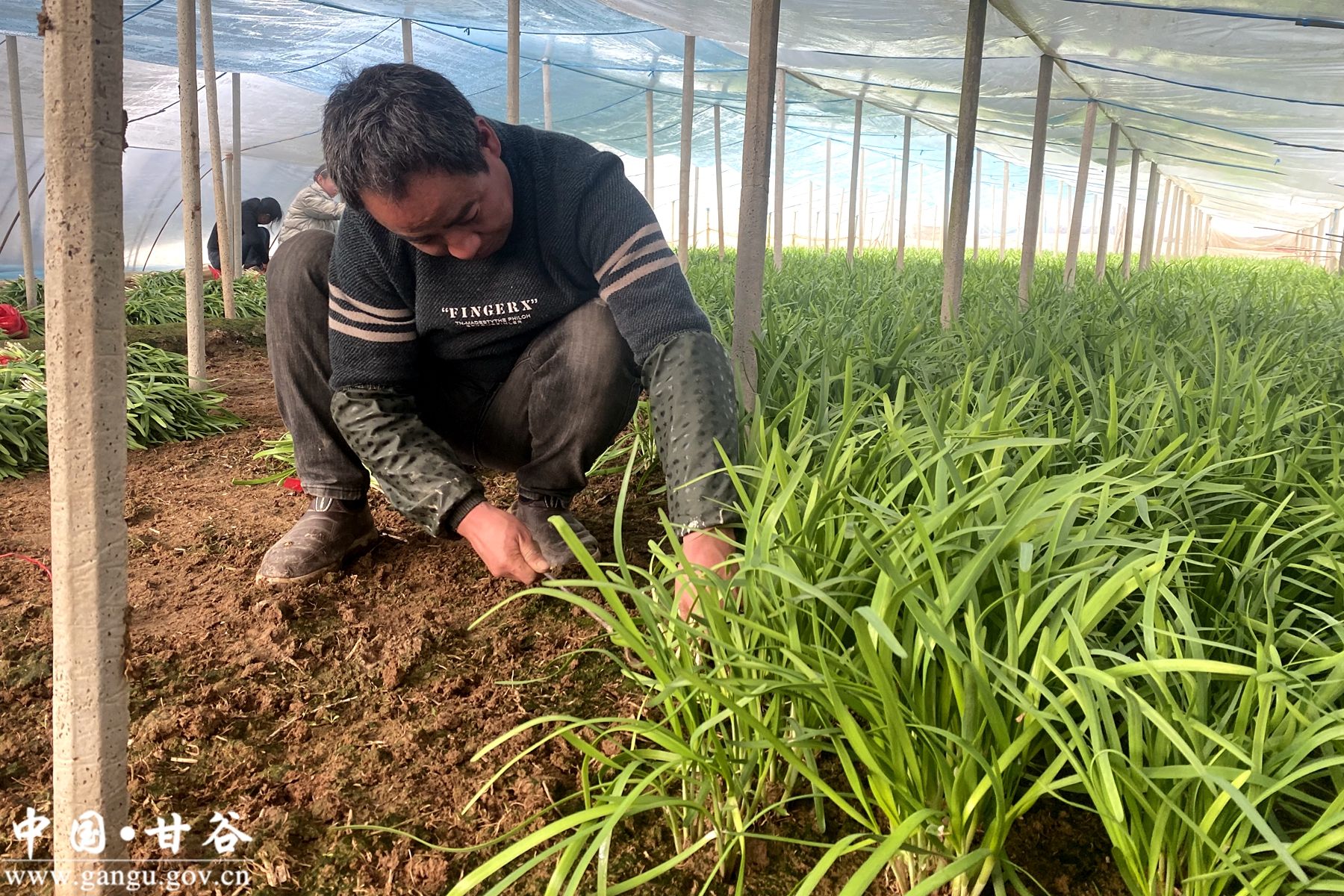 c7a84c28342874eef3c97ed400296080 c7a84c28342874eef3c97ed400296080