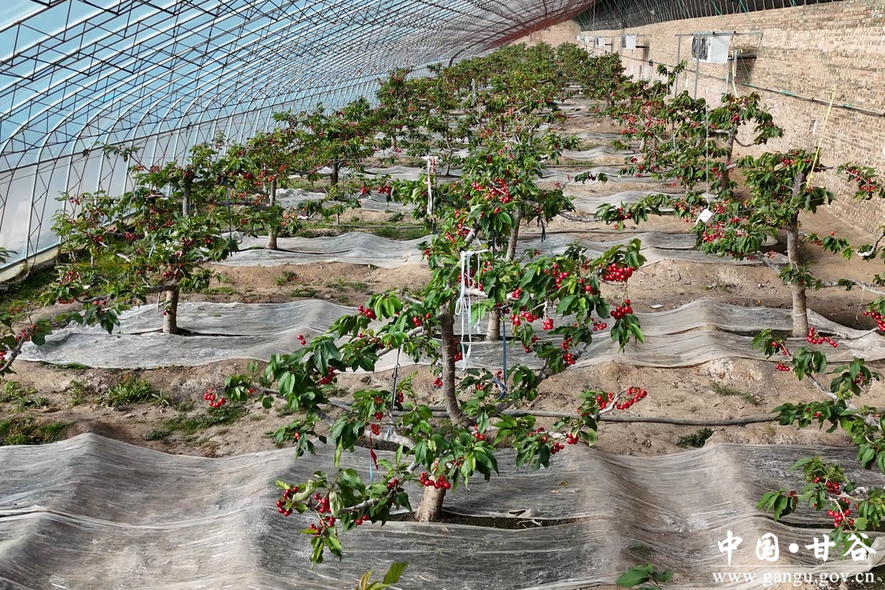 微信图片_20260127162704_8_148 微信图片_20260127162704_8_148