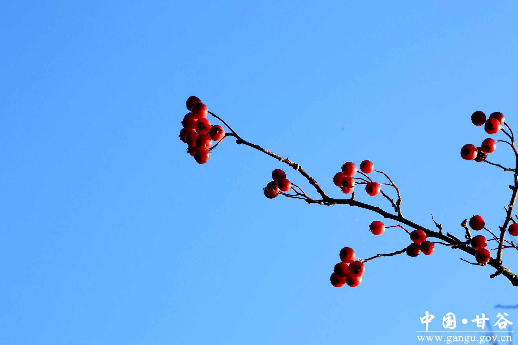 B50A1492_副本 B50A1492_副本