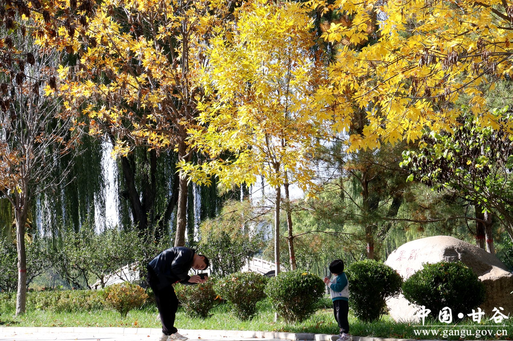 B50A1376_副本 B50A1376_副本