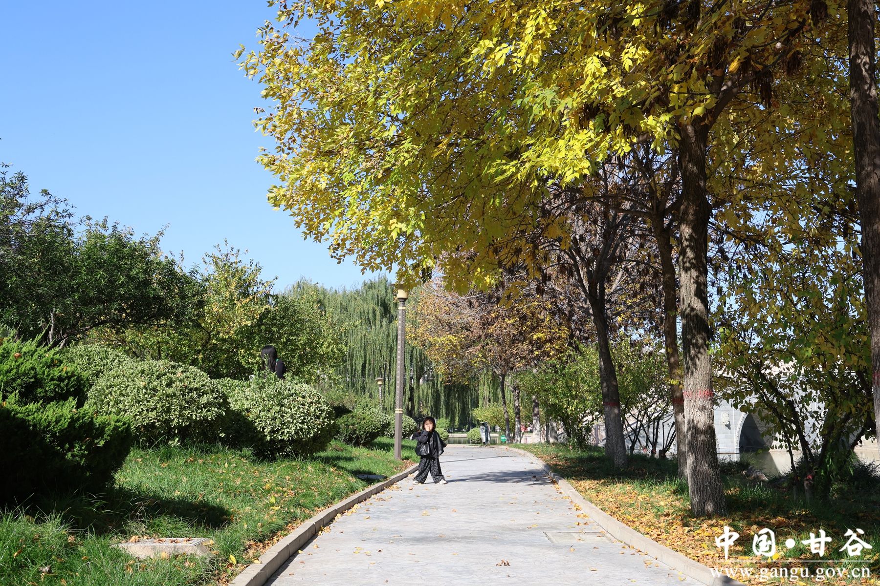 B50A1390_副本 B50A1390_副本