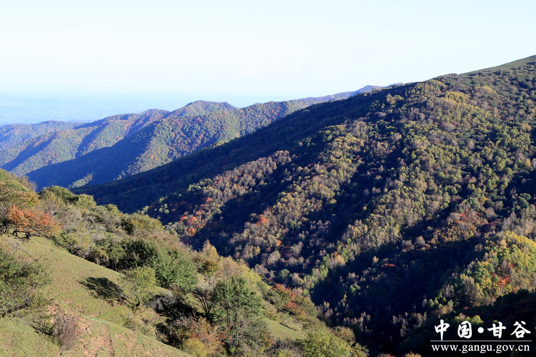 B50A1461_副本 B50A1461_副本