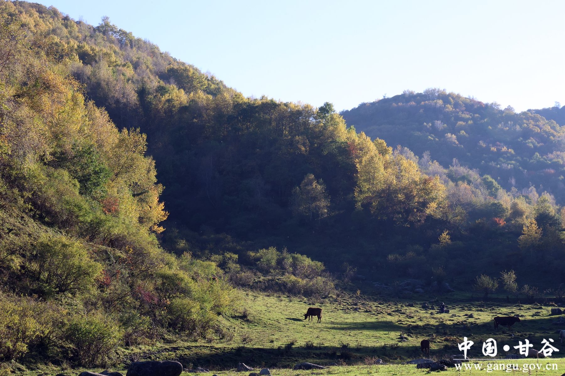 B50A1439_副本 B50A1439_副本