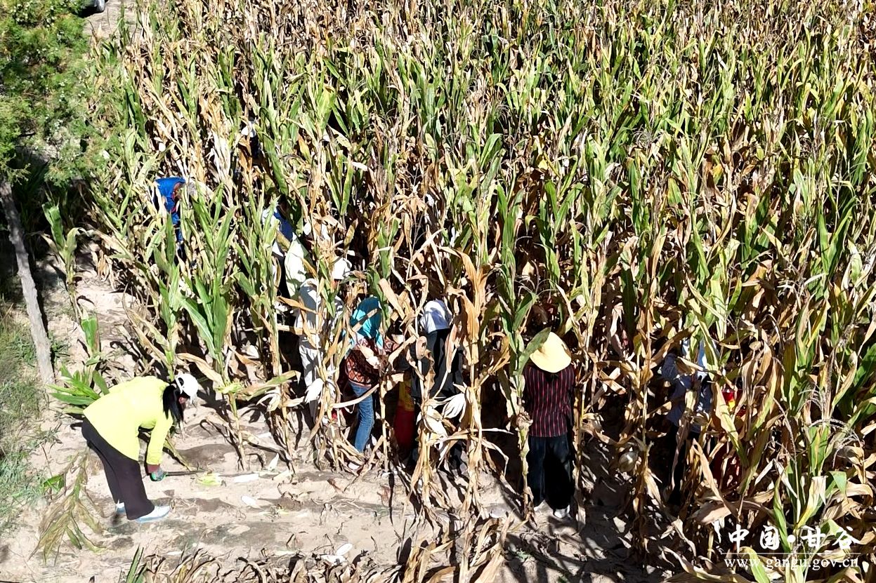 微信图片_20250912174103