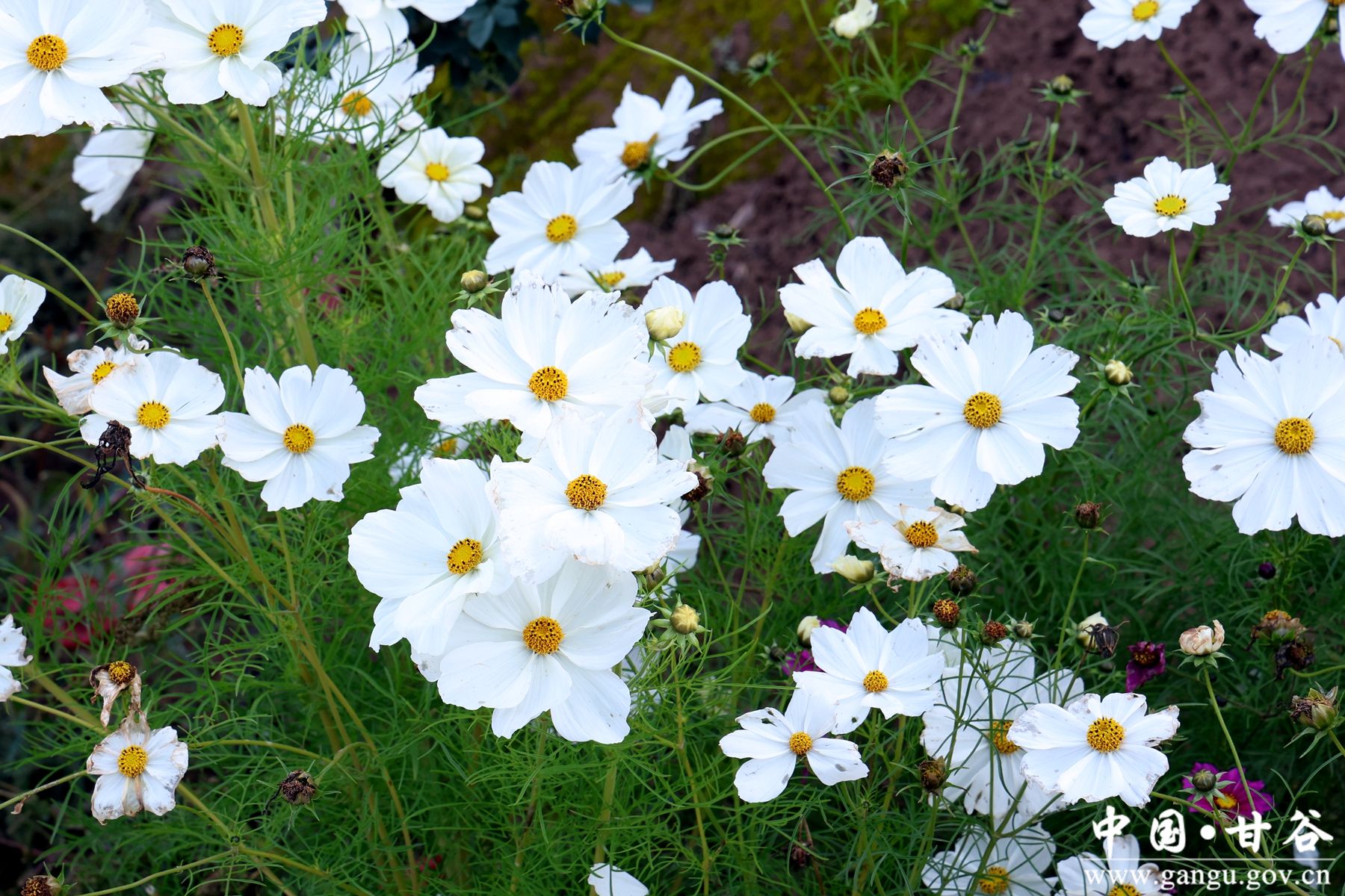 B50A1410_副本 B50A1410_副本