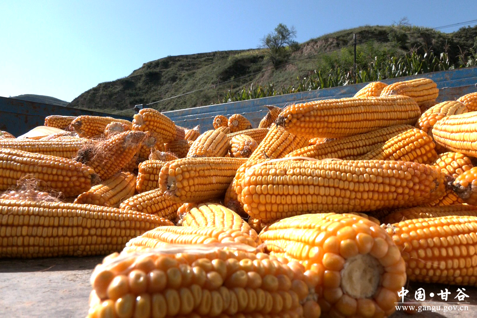 1757664636588031039.jpg 333.jpg