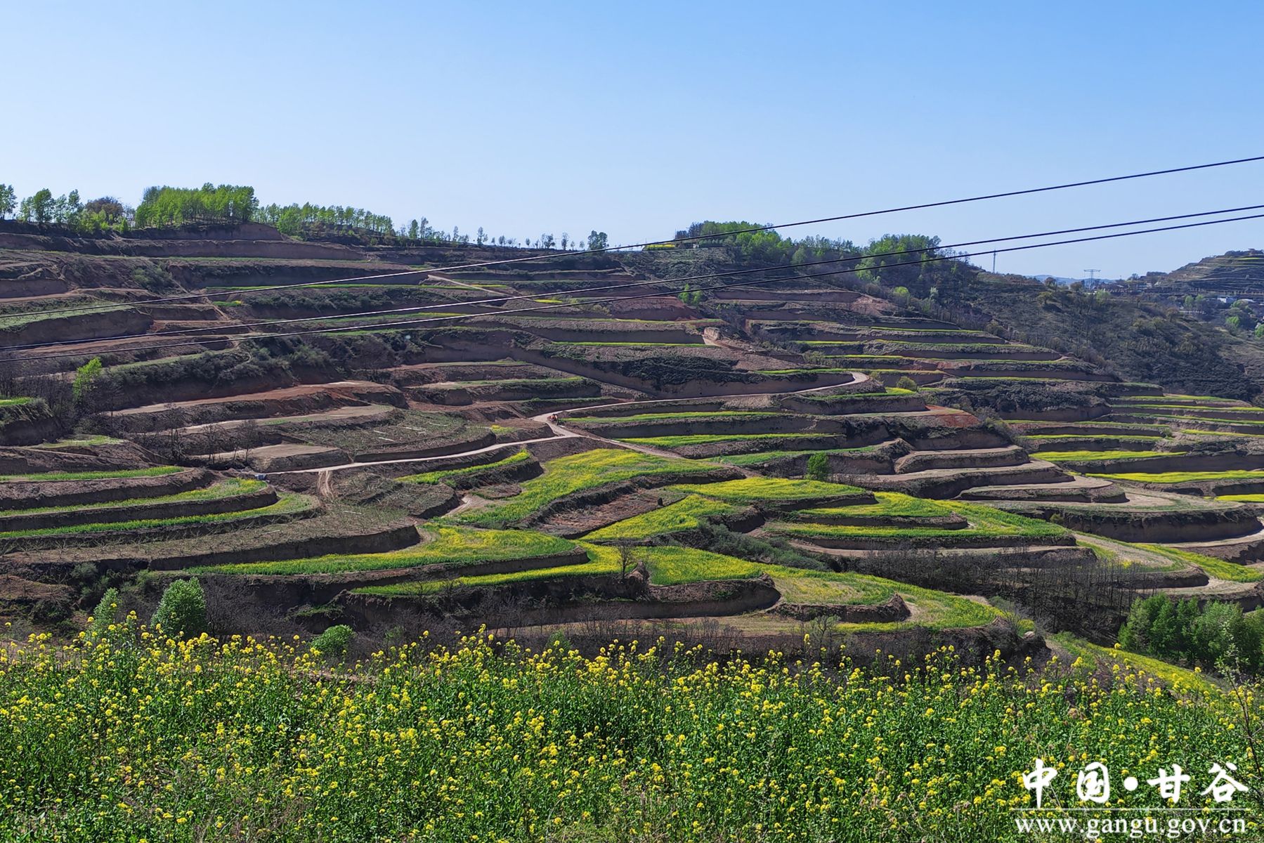 微信图片_20260417163523_71_4 微信图片_20260417163523_71_4