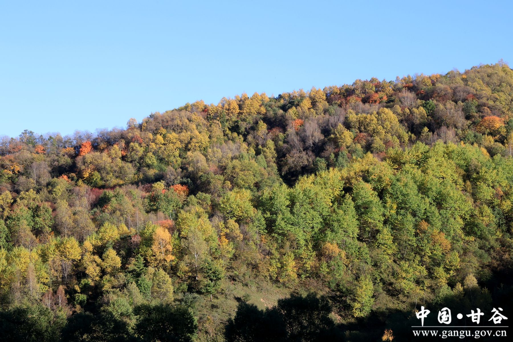 B50A1454_副本 B50A1454_副本