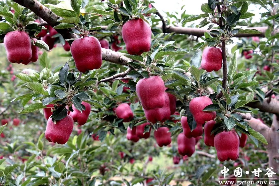 微信图片_20230726111201 微信图片_20230726111201