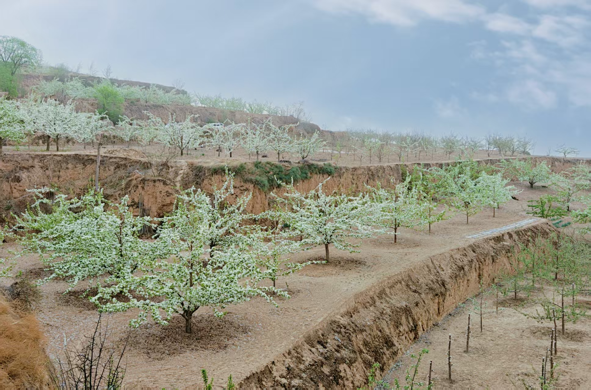 微信图片_20250421154736 微信图片_20250421154736