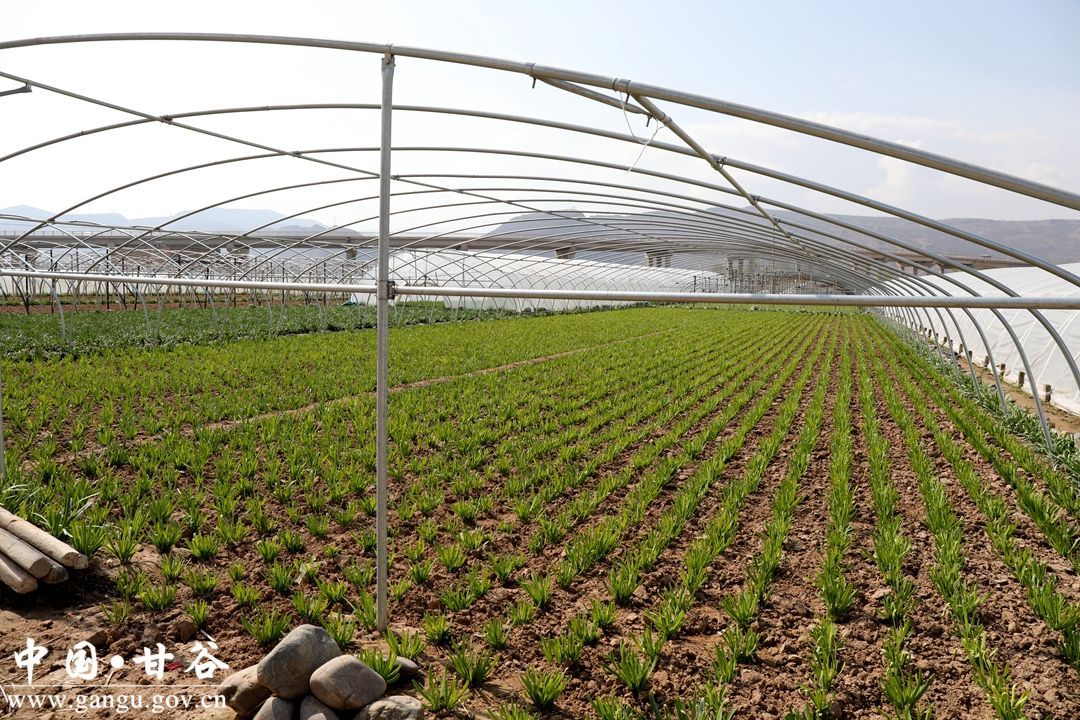 1702344717282048873.jpg 2345_image_file_copy_9.jpg