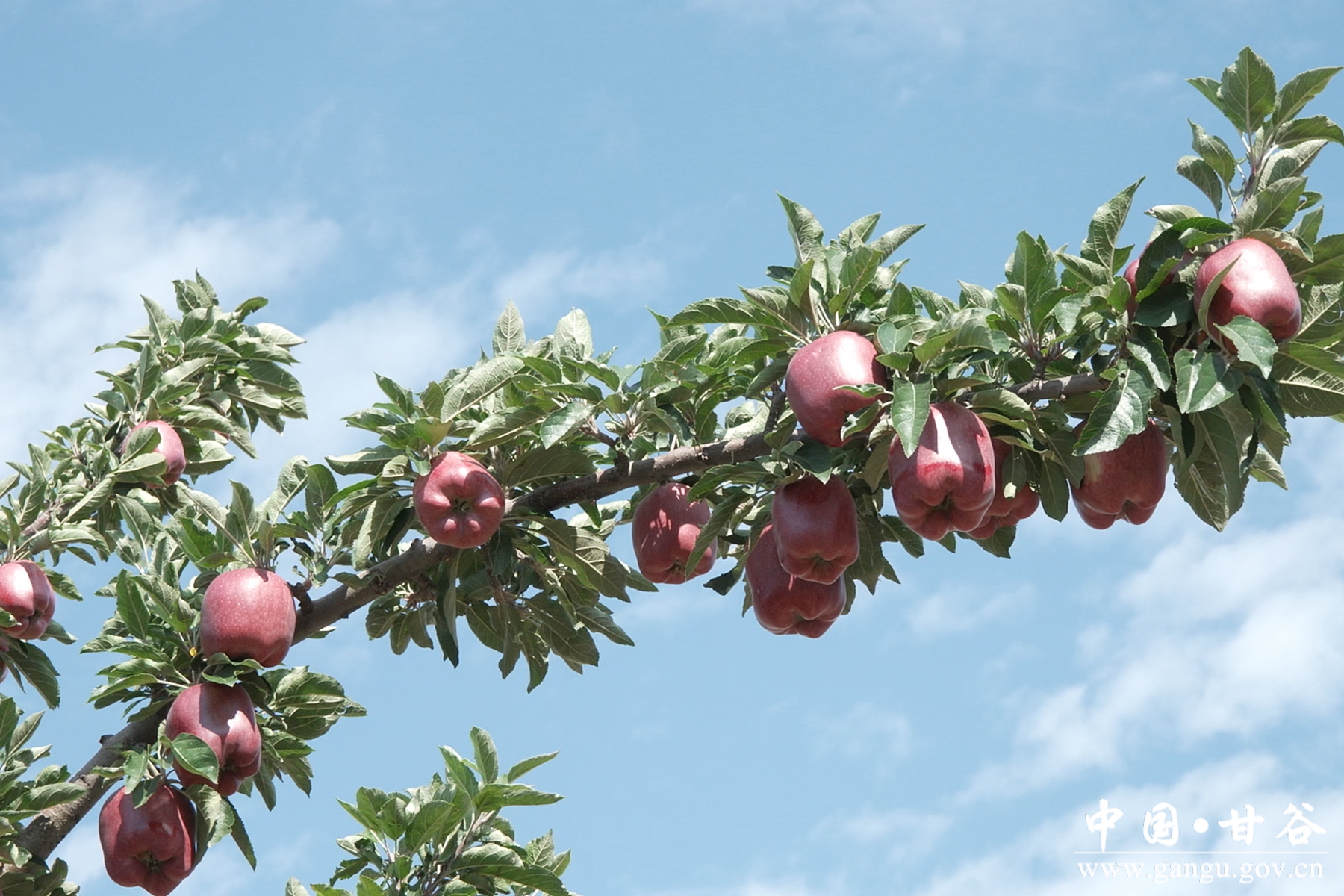 微信图片_20250820153215 微信图片_20250820153215