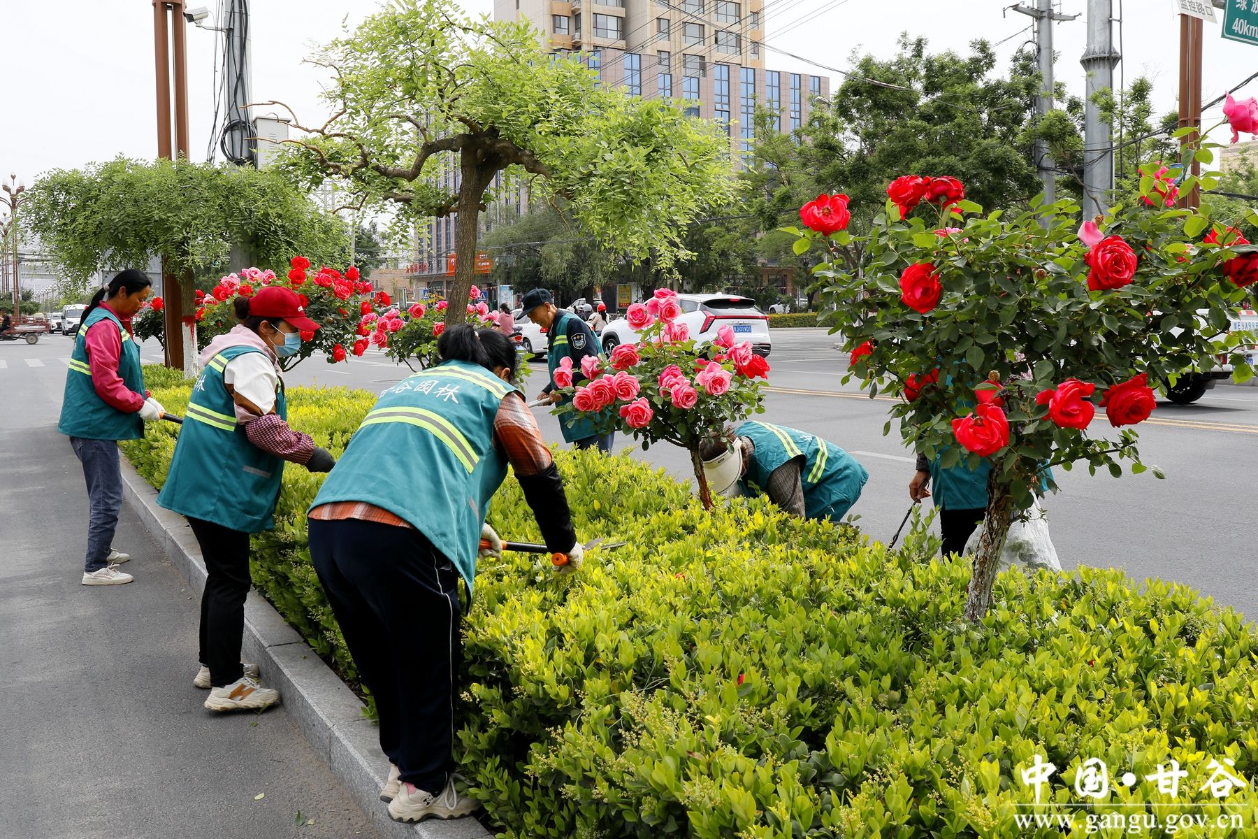 _MG_4066_副本_副本 _MG_4066_副本_副本