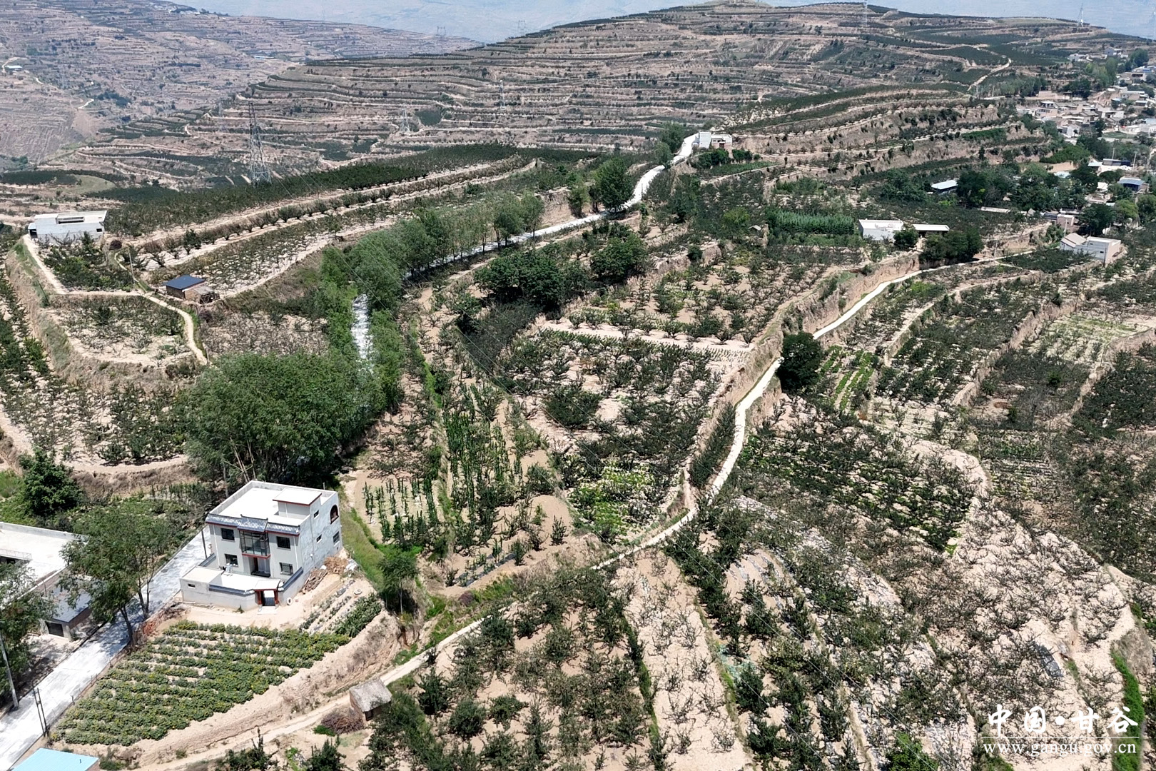 1752635677281012363.jpg 1752635677281012363.jpg