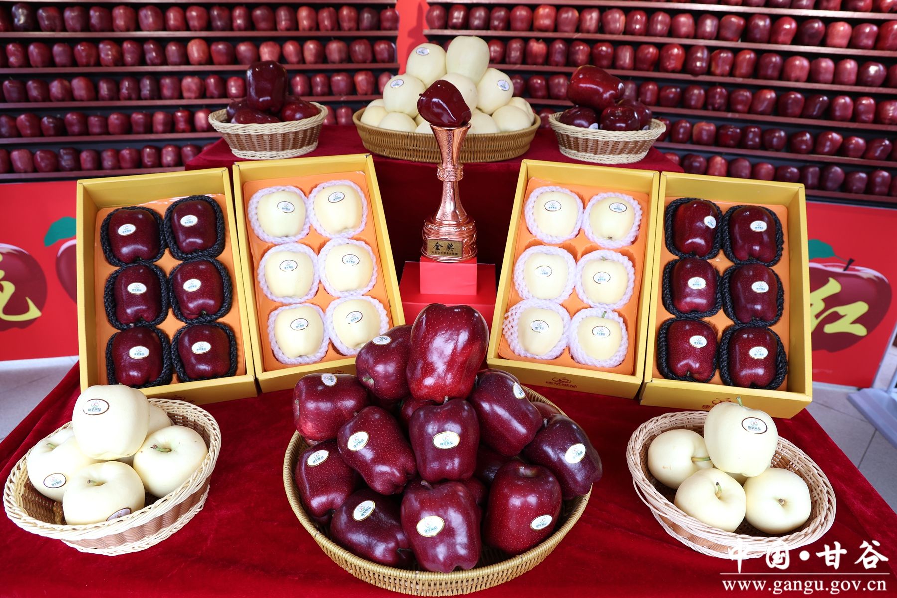 微信图片_20250922164100 微信图片_20250922164100