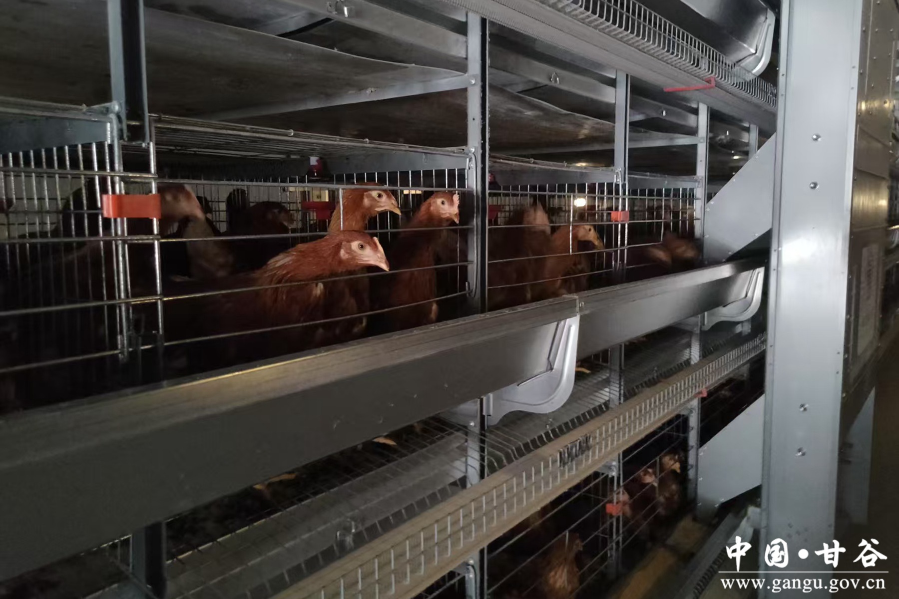 微信图片_20250624095428 微信图片_20250624095428