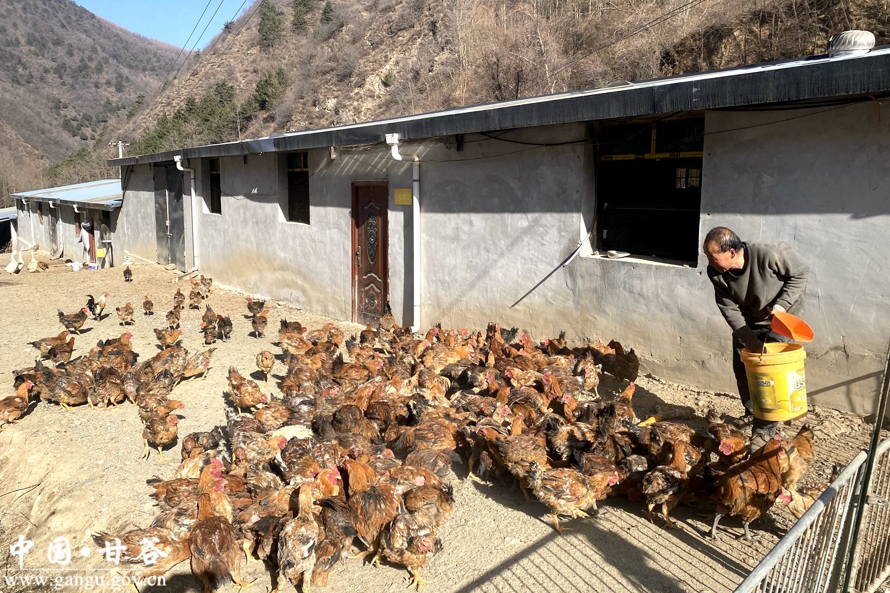 ed2ebe796da33edc60dc7cc68b2abd19 ed2ebe796da33edc60dc7cc68b2abd19