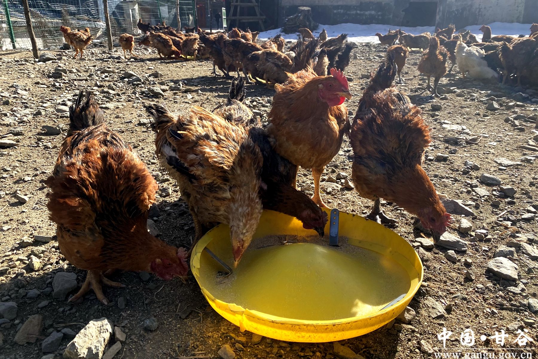 1b603ea693ebf0722ed19c0c1963f071 1b603ea693ebf0722ed19c0c1963f071