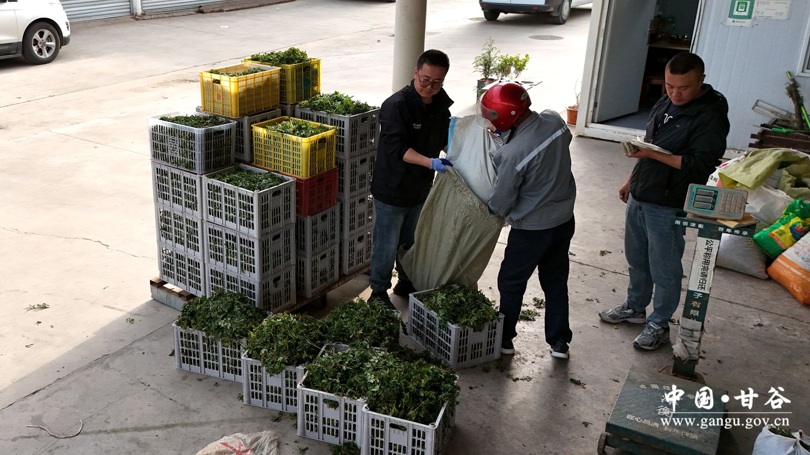 DJI_20251112162532_0468_D_副本 DJI_20251112162532_0468_D_副本