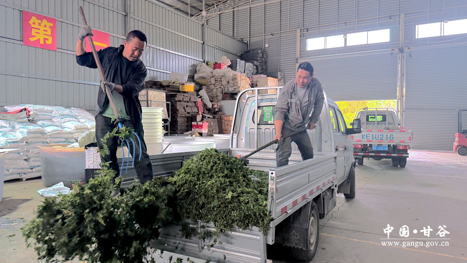 微信图片_20260422190732_108_2_副本 微信图片_20260422190732_108_2_副本