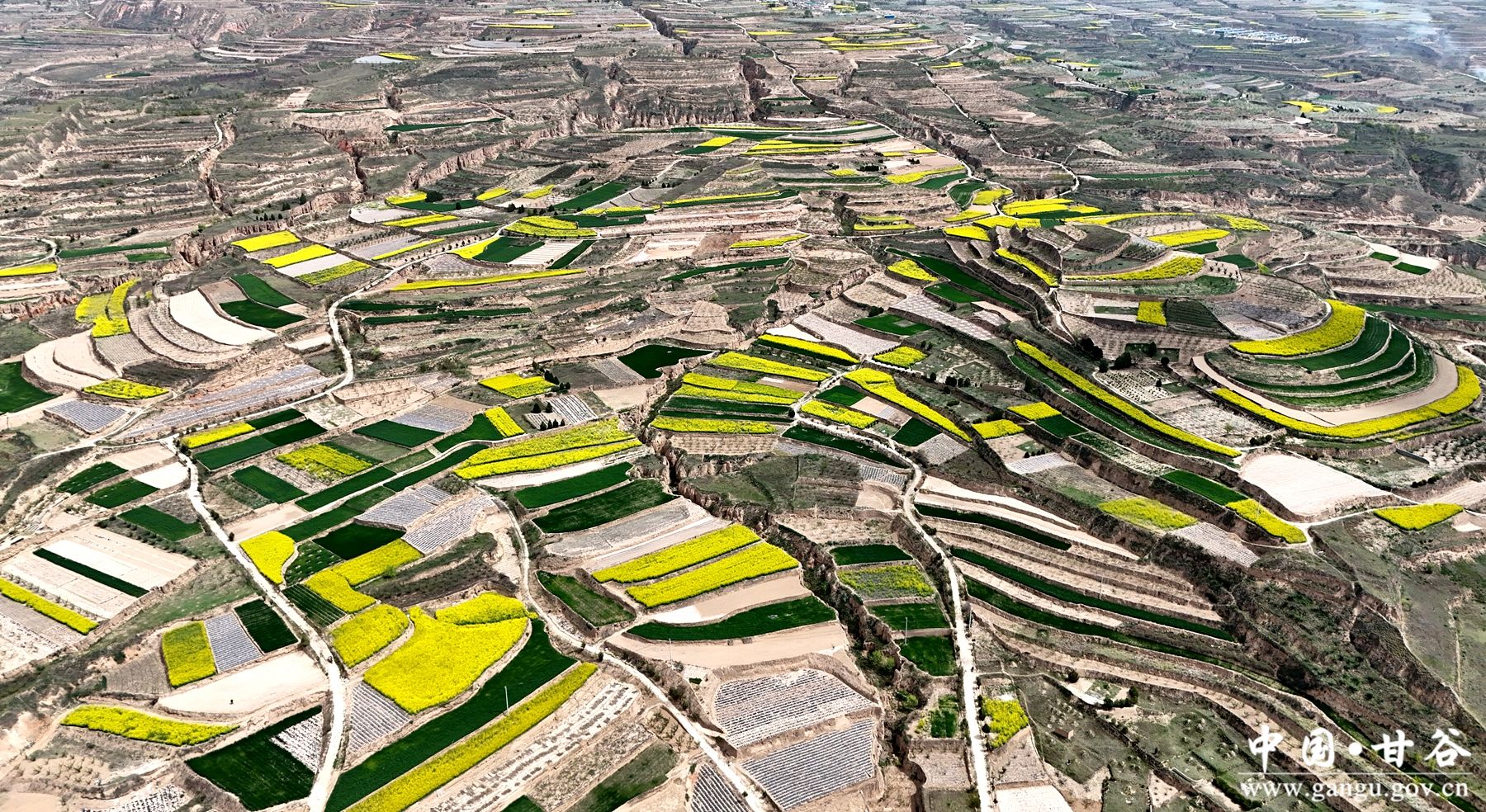 ff37fd34a81723512896743da784c816 ff37fd34a81723512896743da784c816