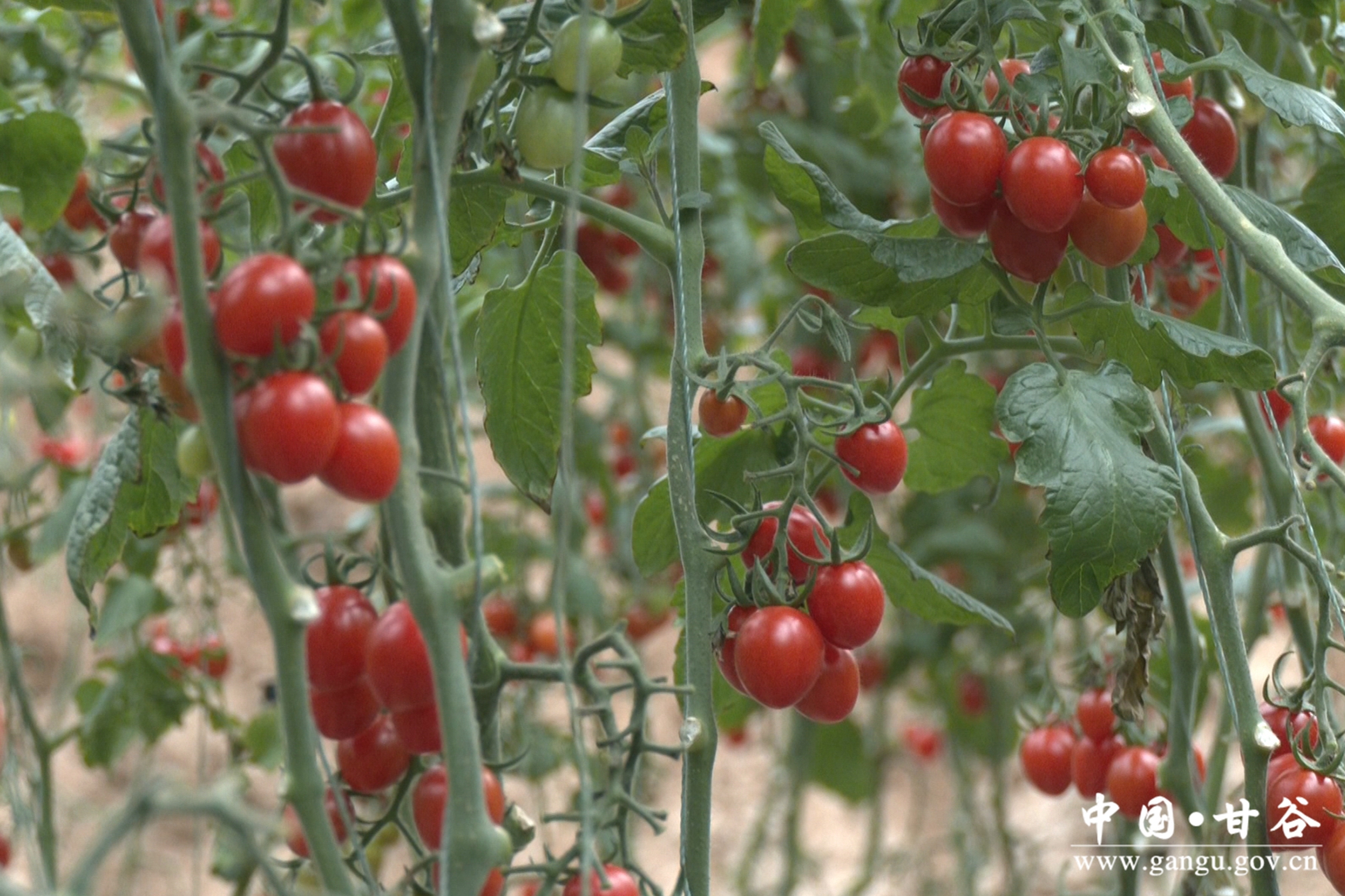 微信图片_20240305100546 微信图片_20240305100546