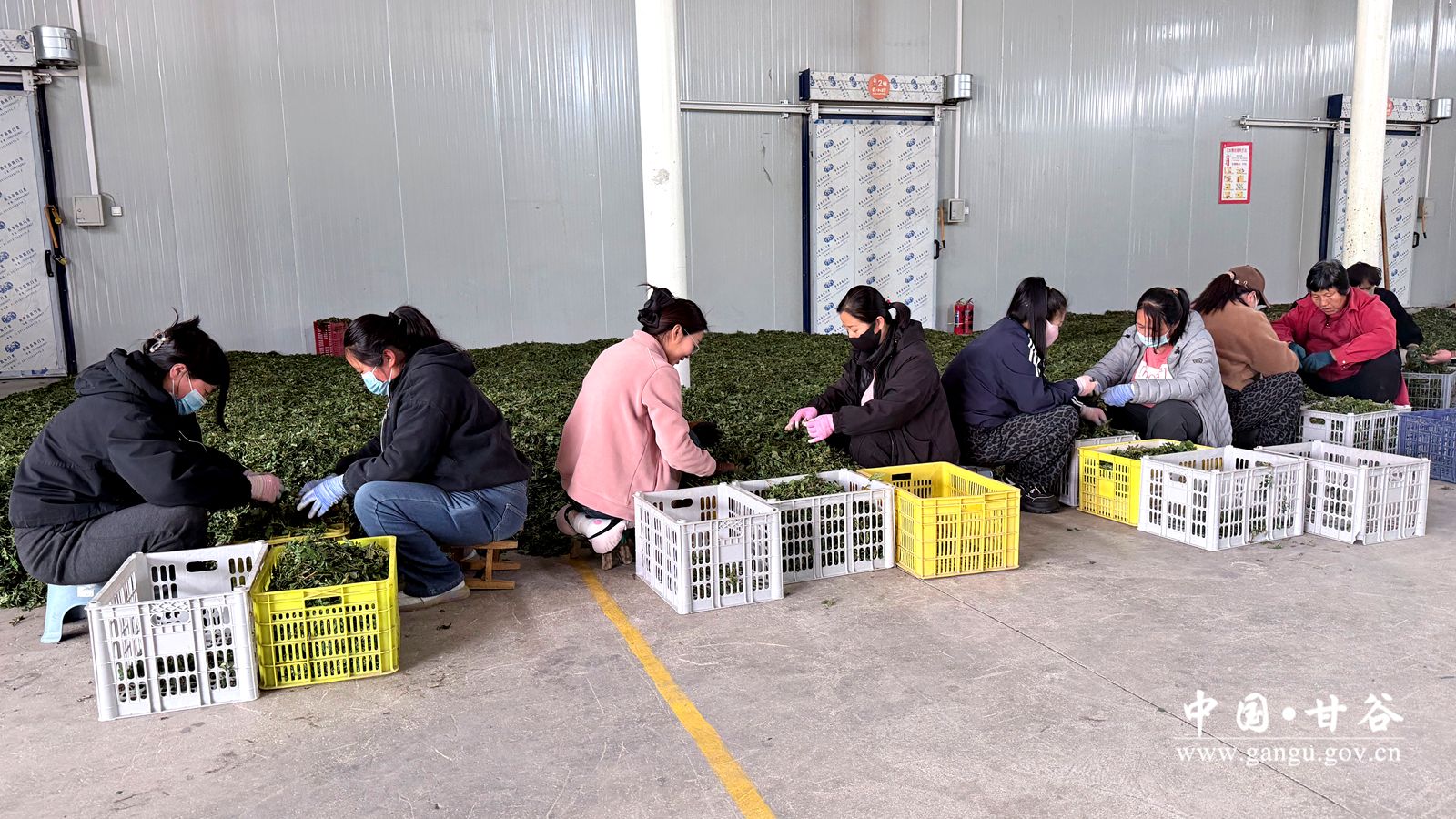 微信图片_20260422190735_109_2_副本 微信图片_20260422190735_109_2_副本